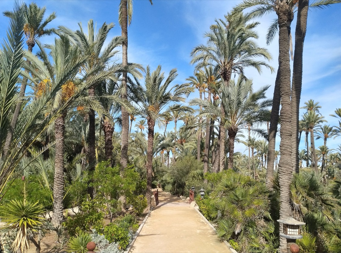 Park El Palmeral