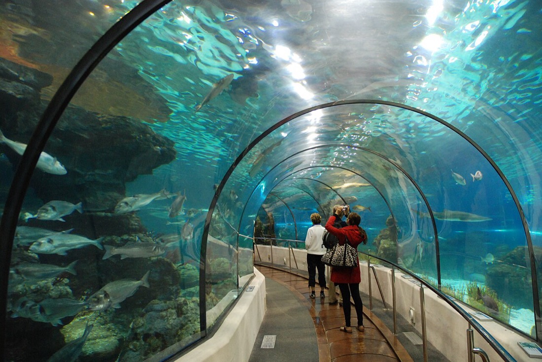 L'Aquàrium (akwarium)