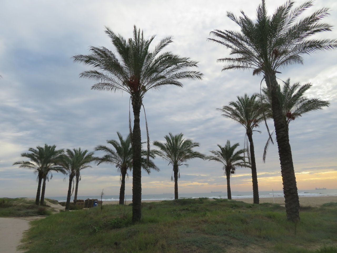 Plaża El Pinar