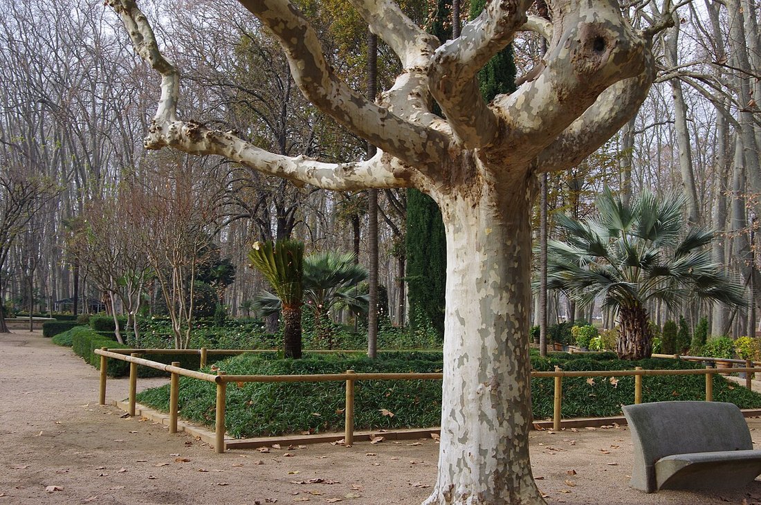 Parc de la Devesa