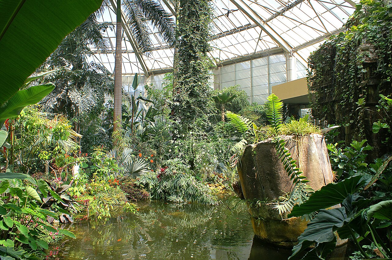 Park Phoenix — szklarnia i mini-zoo