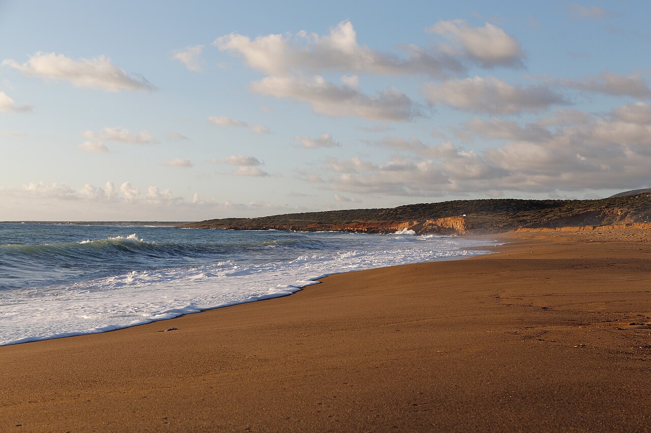 Zatoka Lara — plaża żółwi