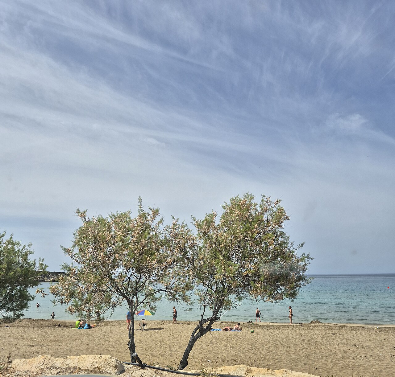 Plaża Coral Bay