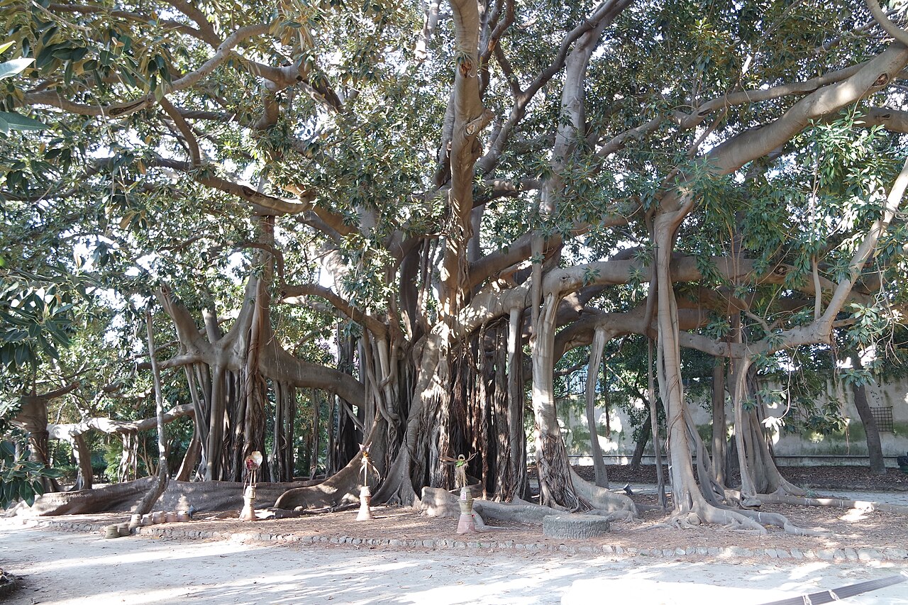 Villa Giulia i Ogród Botaniczny