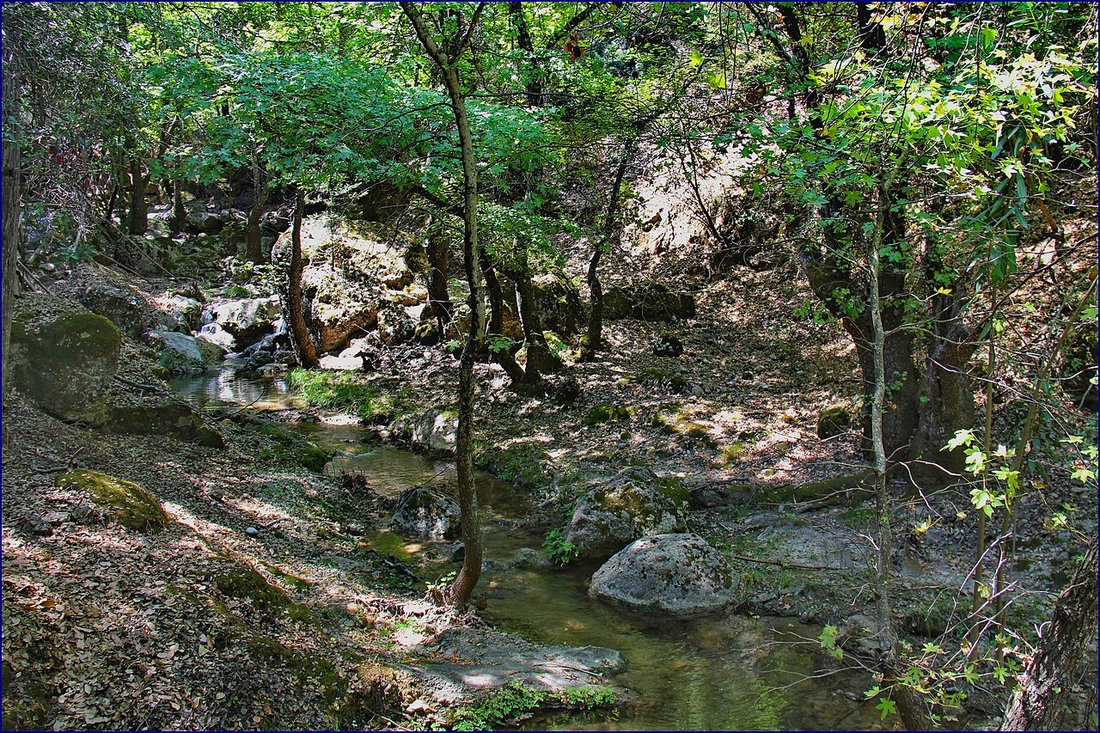 Dolina Motyli (Petaloudes)