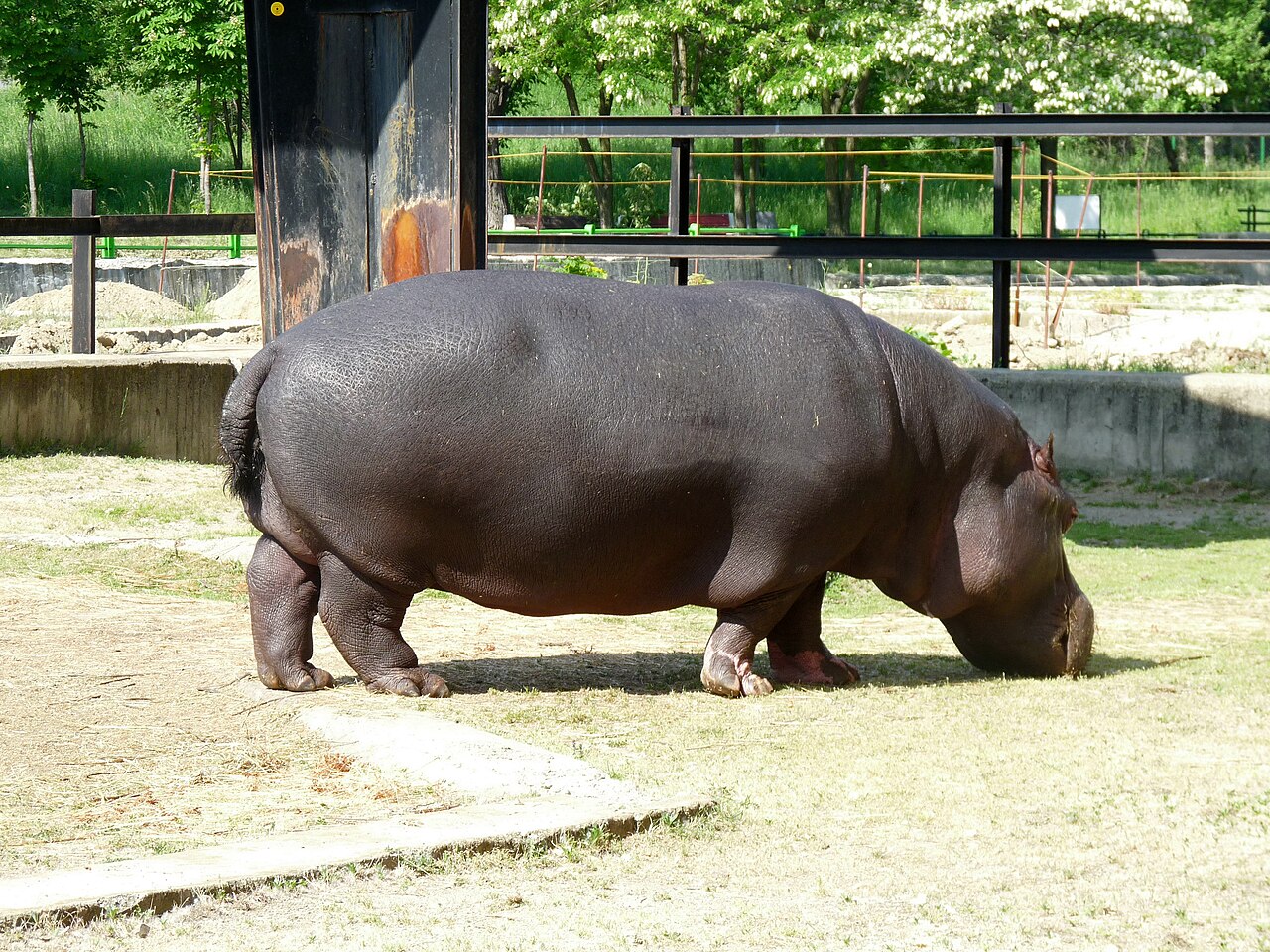 Zoo Sofia — najstarsze na Bałkanach