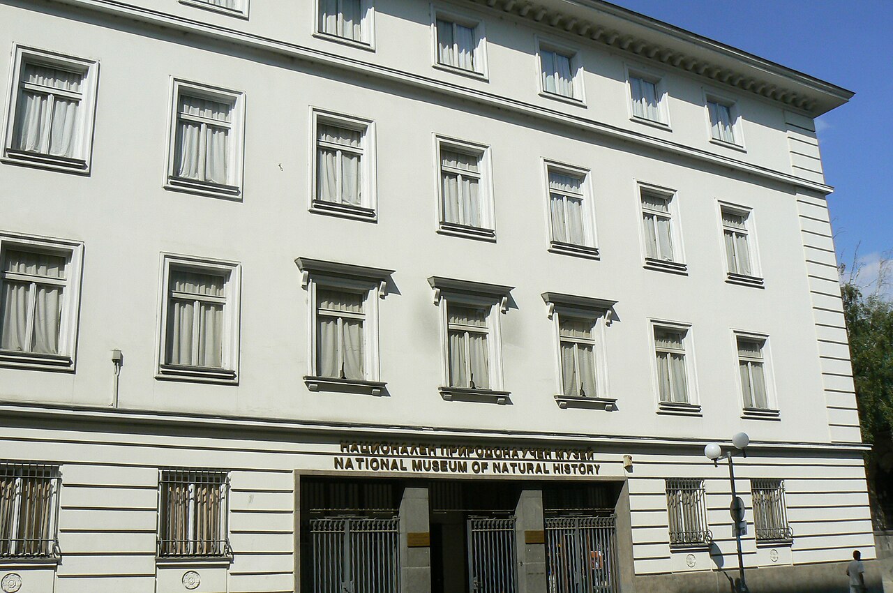 Muzeum Historii Naturalnej