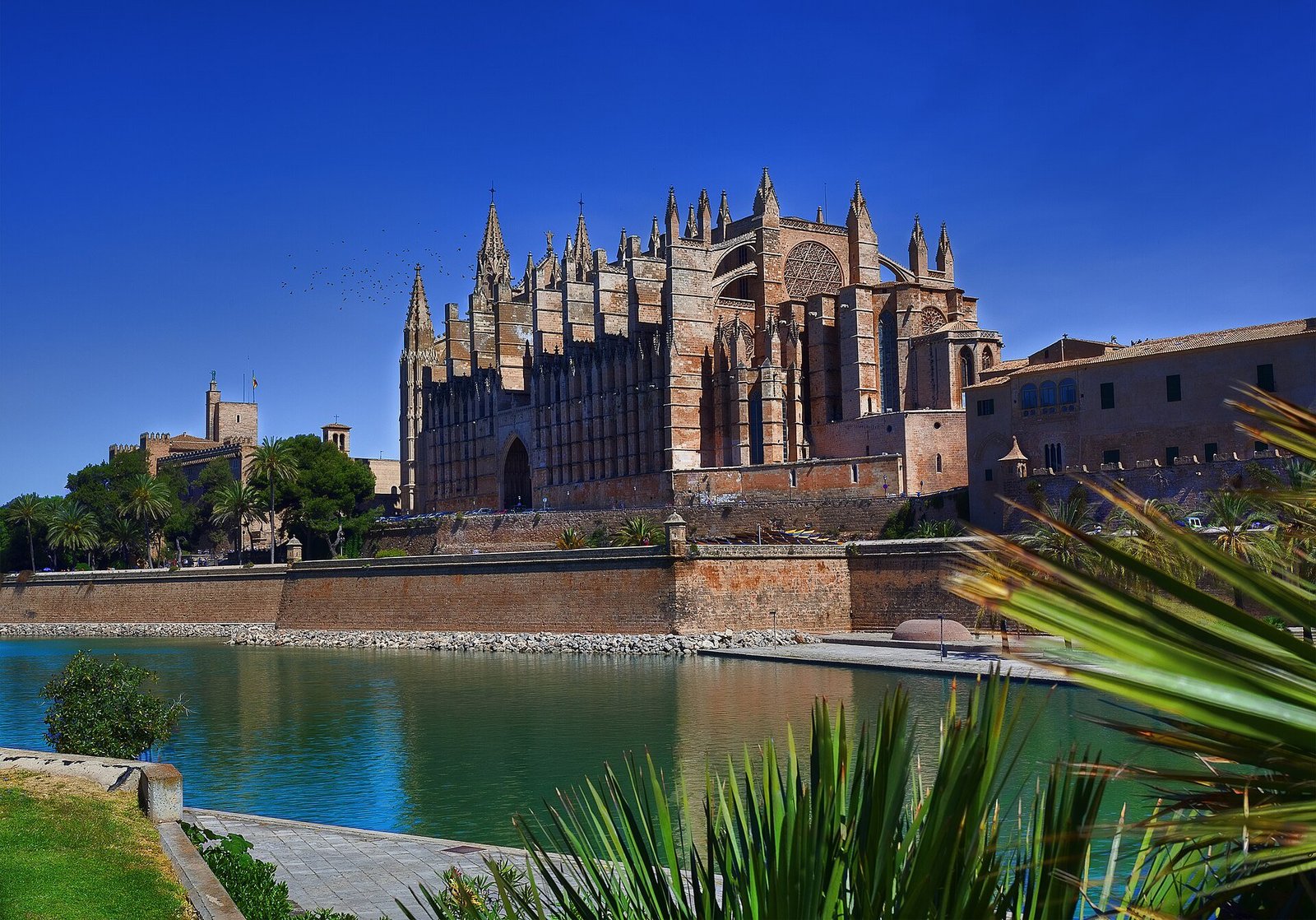 Palma